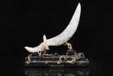 Polished Quartz Crystal Sword With Artistic Stand #206842-3